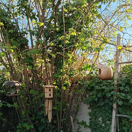 Maison Cocooning Annee 30 Riorges